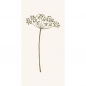 Preview: Papierservietten Autumn Umbel Flower von IB Laursen